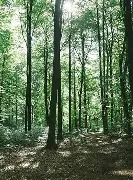 ゑ日语什么意思 ゑ日语什么意思